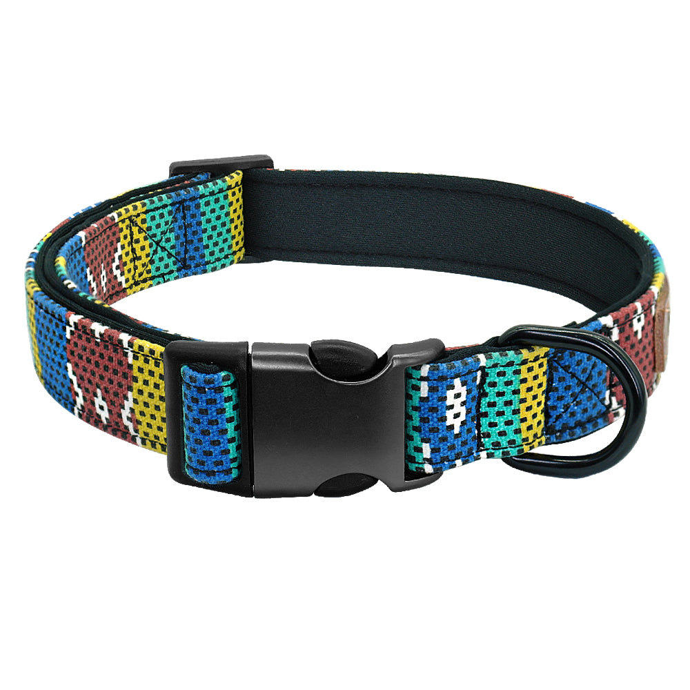 Colorful dog collar