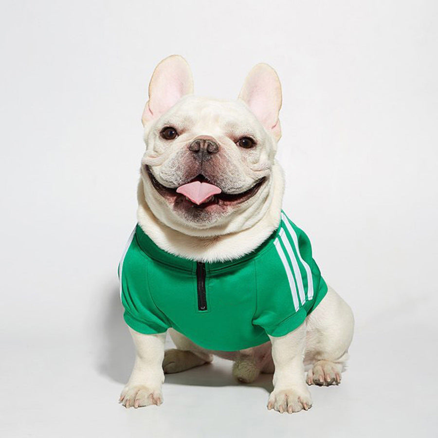 Sporty dog sweater