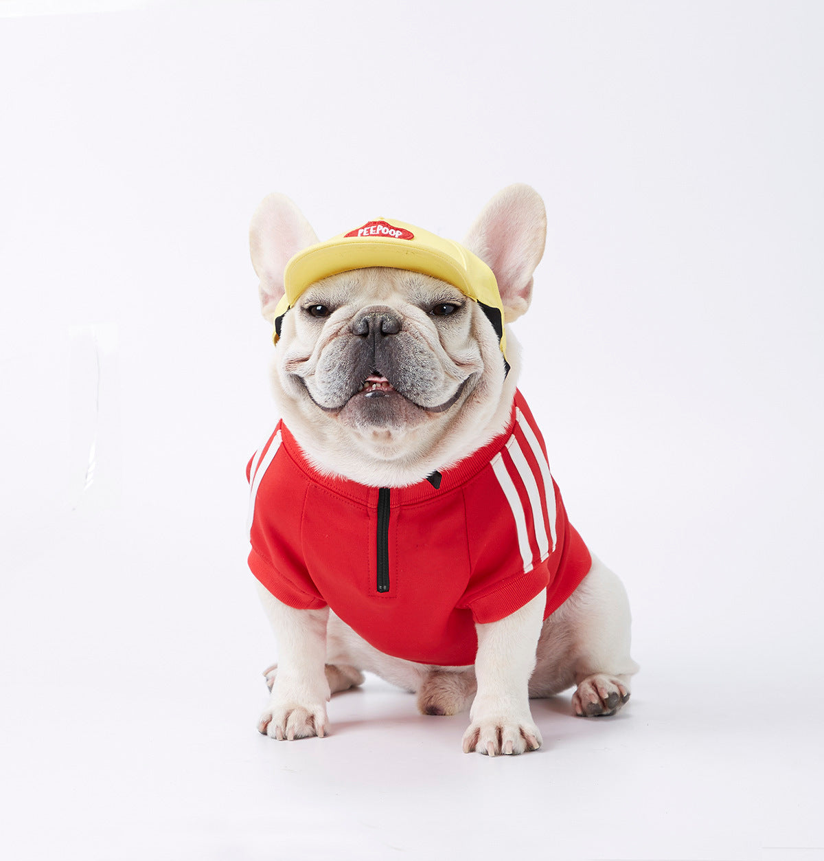 Sporty dog sweater