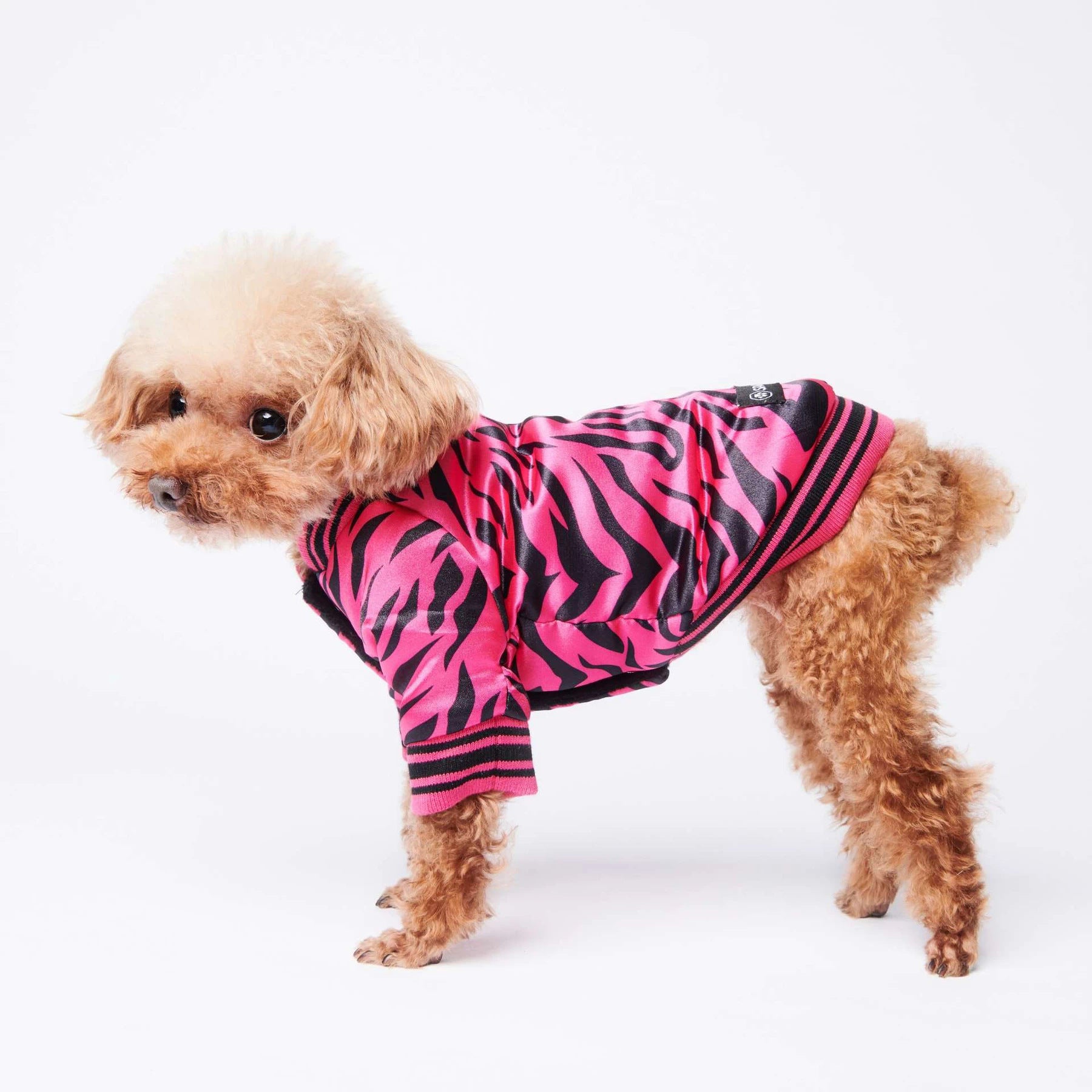 Cotton dog jacket