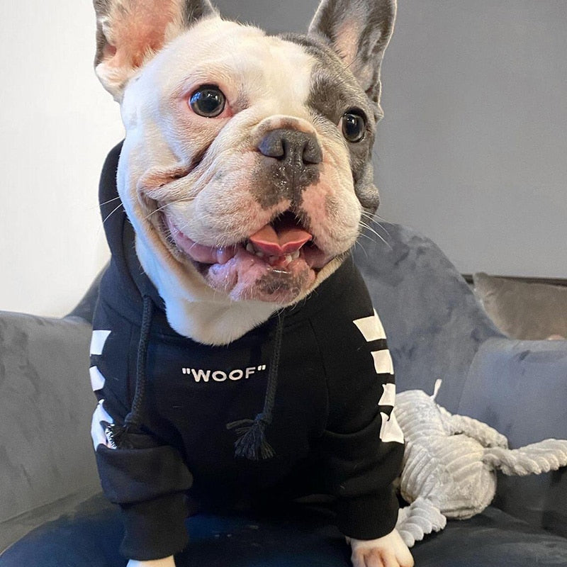 WOOF winter dog hoodie