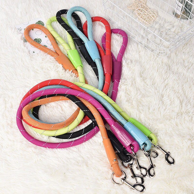 Dog colorful leash