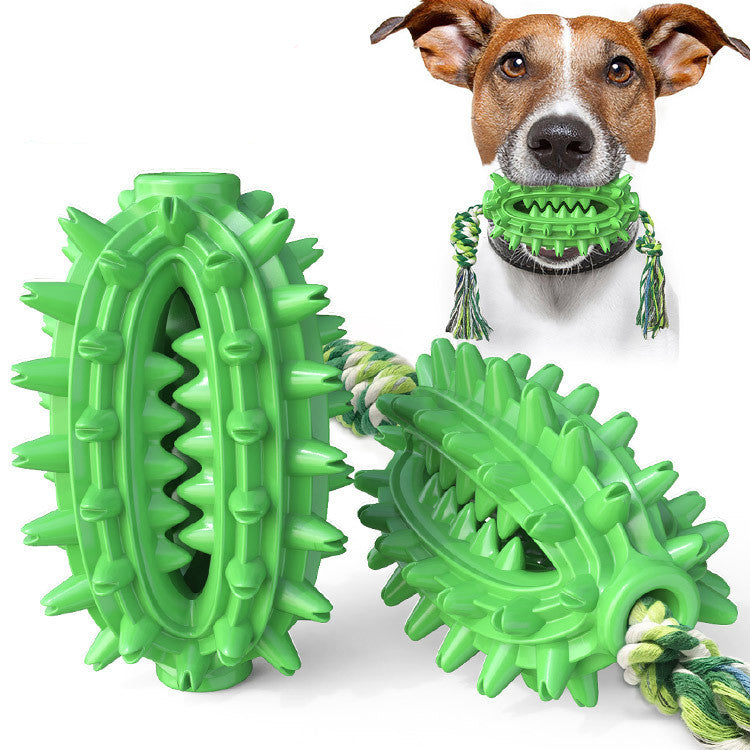 Dog toy and toothbrush with rope