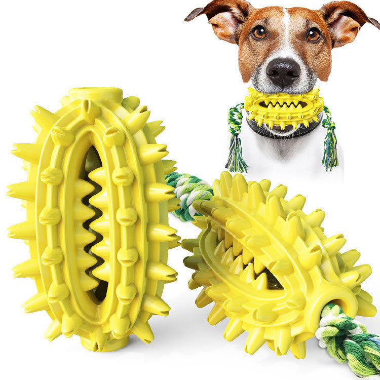 Dog toy and toothbrush with rope