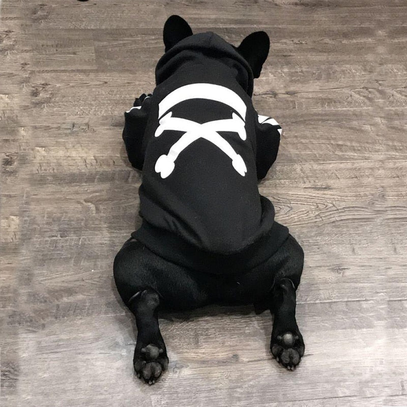 WOOF winter dog hoodie