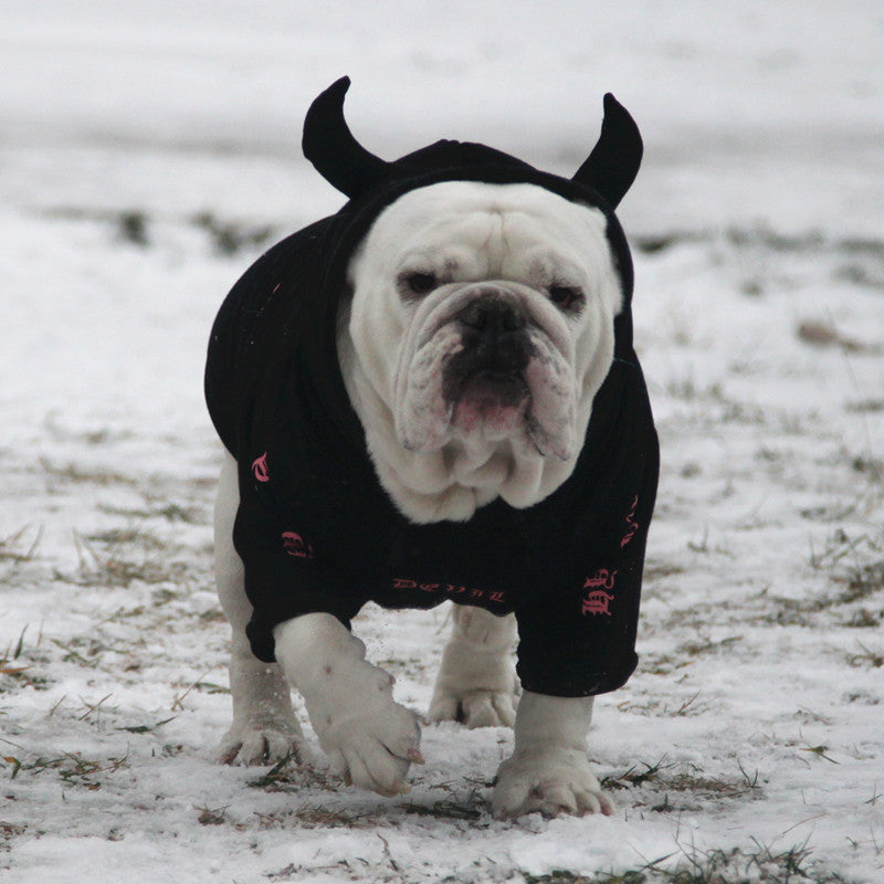 Devil and unicorn dog hoodie