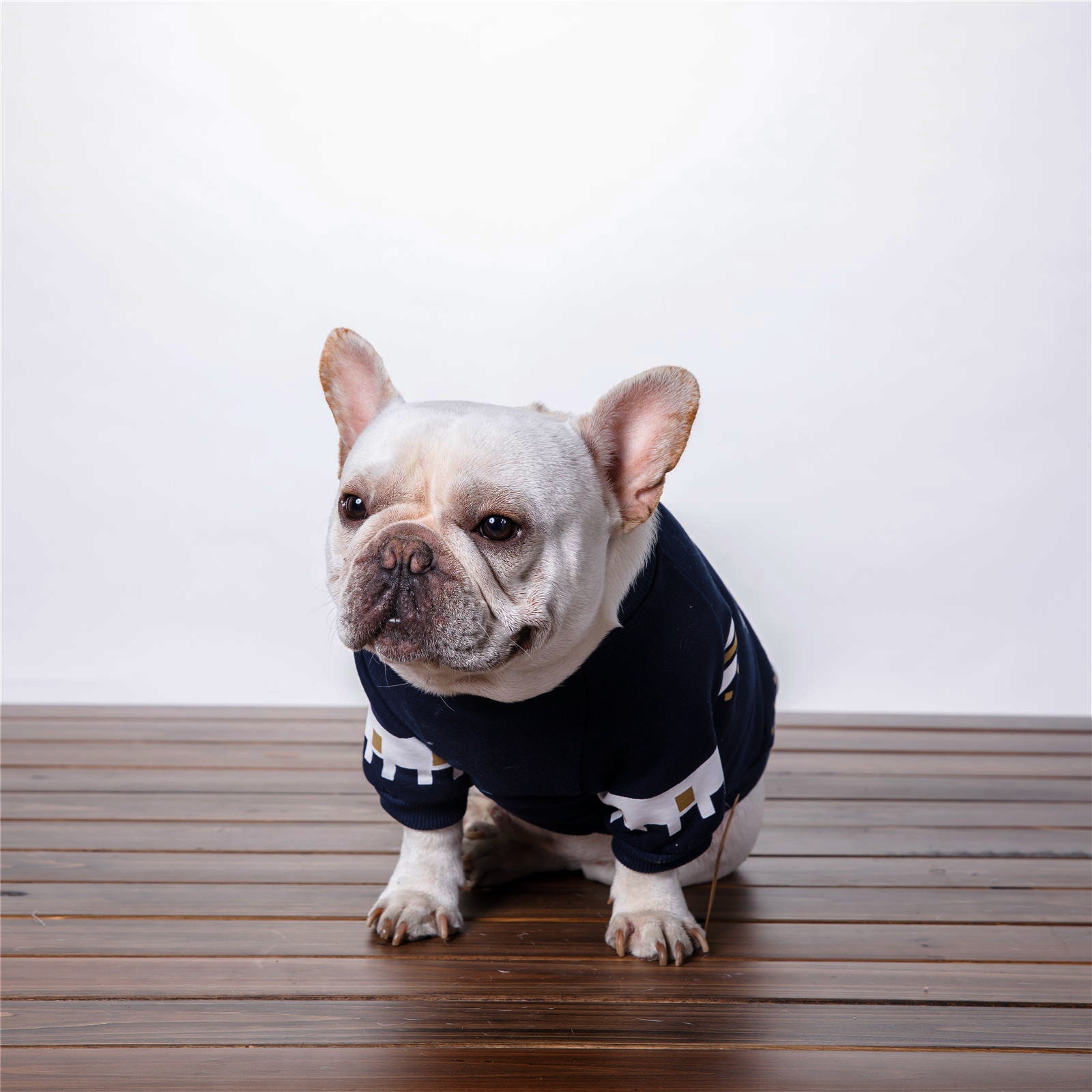Dog cotton sweater