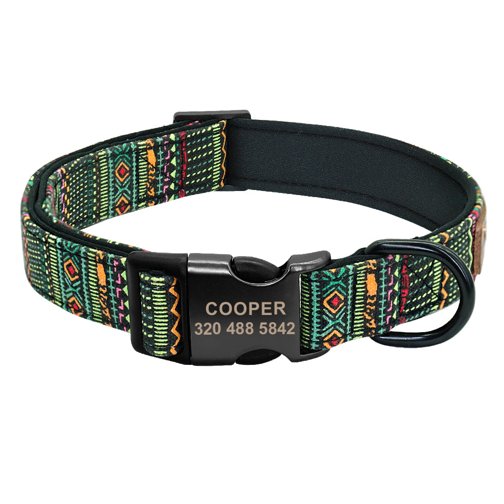 Colorful dog collar
