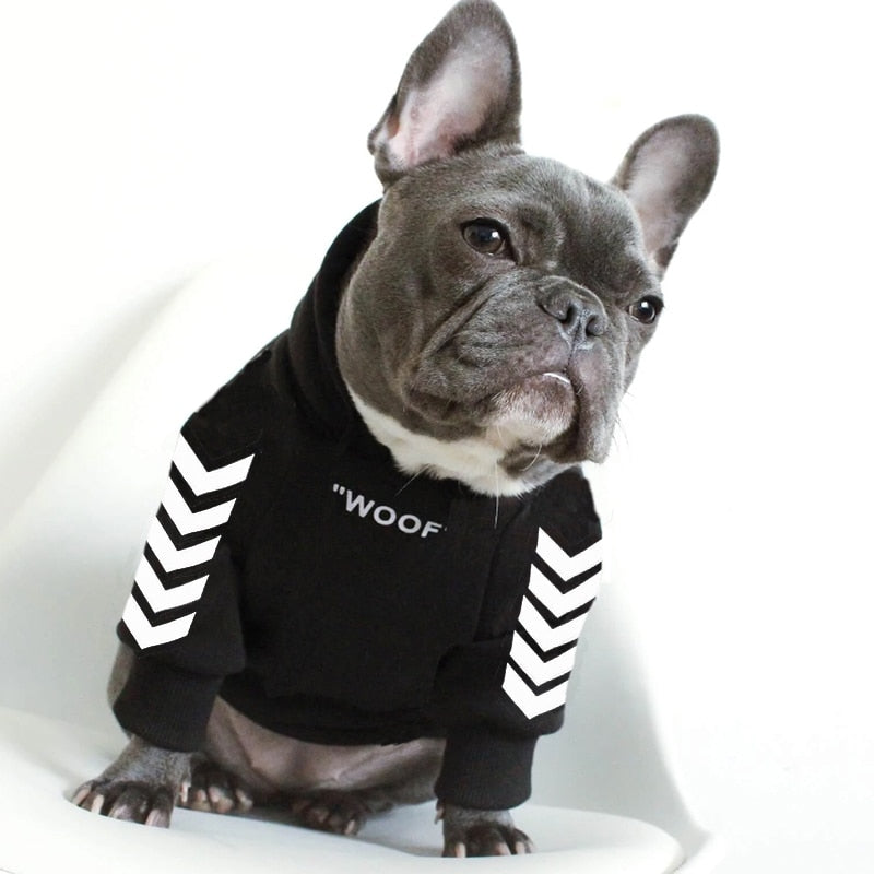 WOOF winter dog hoodie