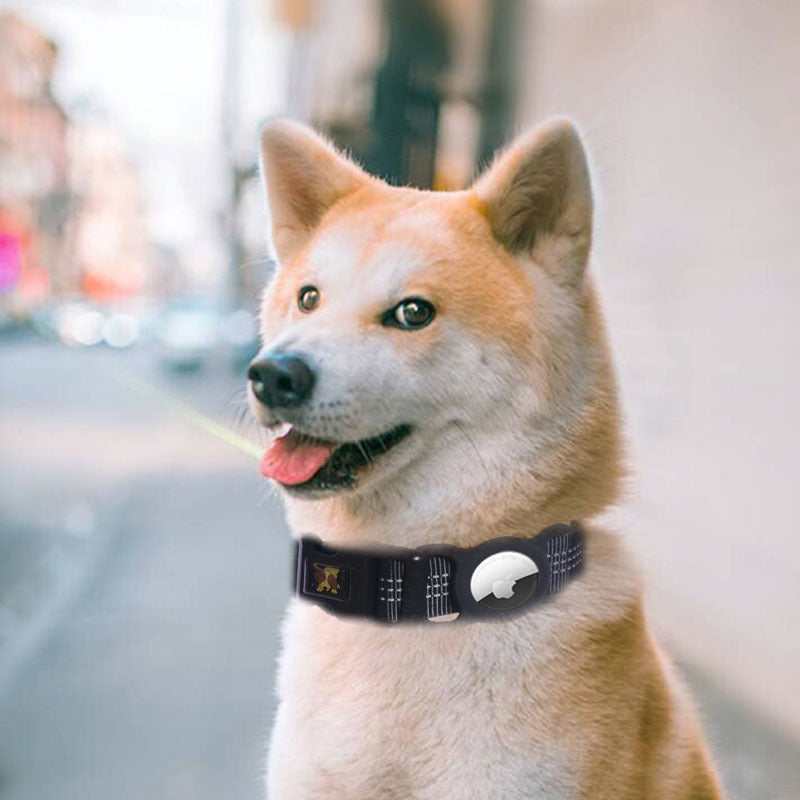 Pet tracking collar